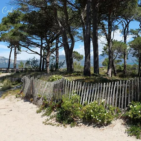 T2 A 1 Minute De La Апартаменты Кальви