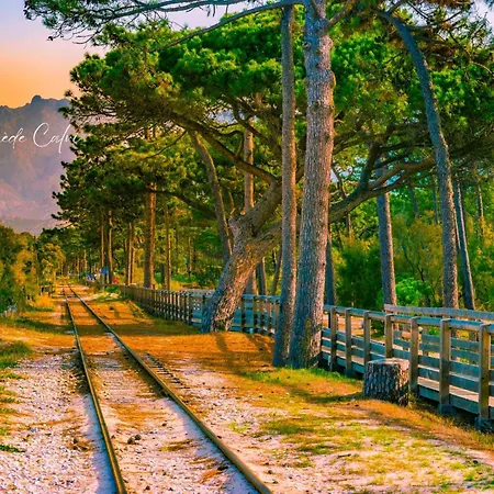 T2 A 1 Minute De La Καλβί