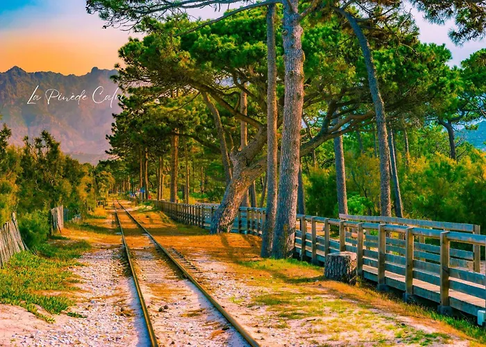 T2 A 1 Minute De La 卡尔维