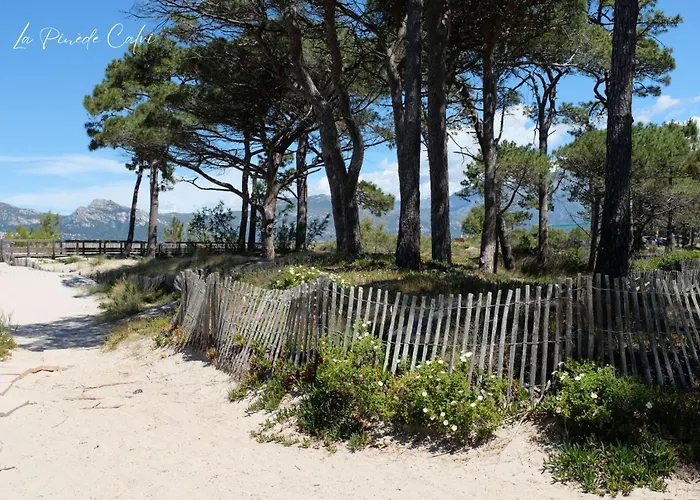 T2 A 1 Minute De La 公寓 卡尔维